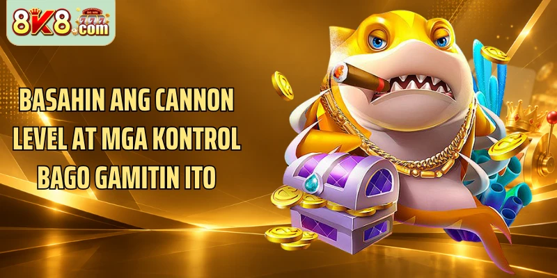 Basahin ang cannon level at mga kontrol bago gamitin ito